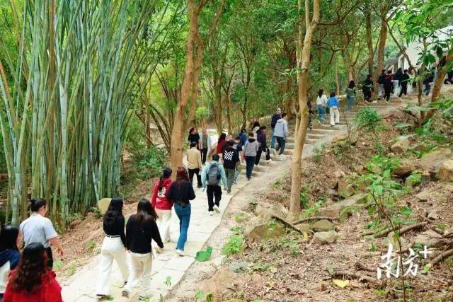 来五桂山解锁“绿野仙踪”开元棋牌一山一道一专线(图3)